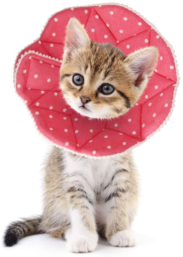 SLSON Cat Recovery Collar Soft Pet Cone Collar Protective Cotton Cone Adjustable Fasteners Collar for