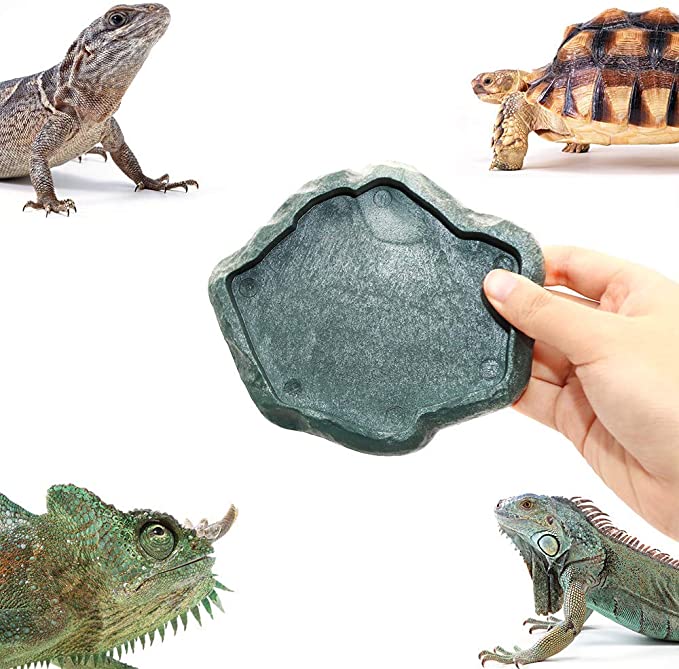 SLSON Reptile Feeder Terraium Bowl Plastic Shallow Reptile Feeder for Food and Water Feeding Dish for